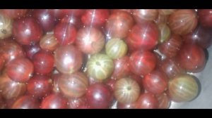 Варенье из крыжовника