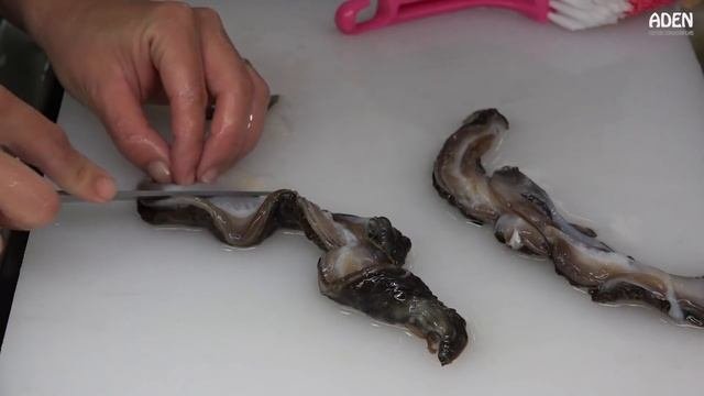 日本美食：車渠貝
