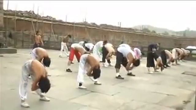 Wudang Daoist Traditional Kung Fu Academy - Basic Training & Flexibility смотреть онлайн