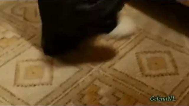 Растревожила память O Samochwalow_xvid.avi смотреть онлайн