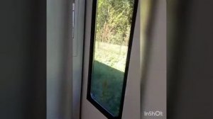 Поезд РЭКС экспресс и безбилетные пассажиры)