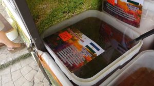 ЛЕТО В ЯКУТСКЕ