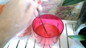 Результат применения мочевины на примере орхидеи Онцидиум. Появление молодых росточков!