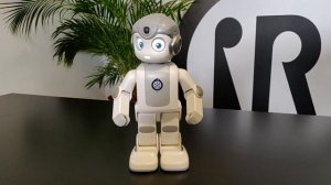 Pre-book a hotel room with Alpha-Mini robot (UBTECH Robotics) - SPARK Solution
