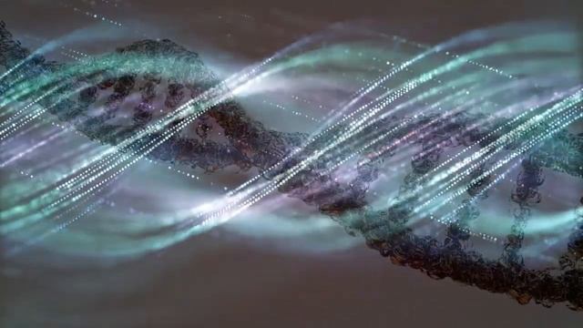 Влияние генетики на судьбу человека Как изменить разрушающие программы смотреть онлайн