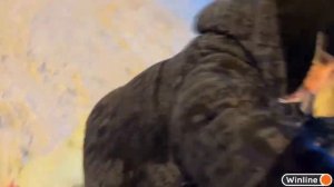 ПЛОХОЙ ПАРЕНЬ НАПАДАЕТ НА КОРЕША | ХАЗЯЕВА КУПИЛИ BMW