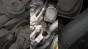 Стук в двигателе К4М 1.6 c АКПП на Рено Сценик2(1)