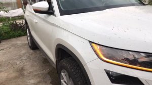 Динамический поворотник на Кодиак