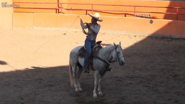 LAZOS - PIALES - FLOREO DE SOGA - Sebastian y Martin Perea TERNA EN EL RUEDO смотреть онлайн
