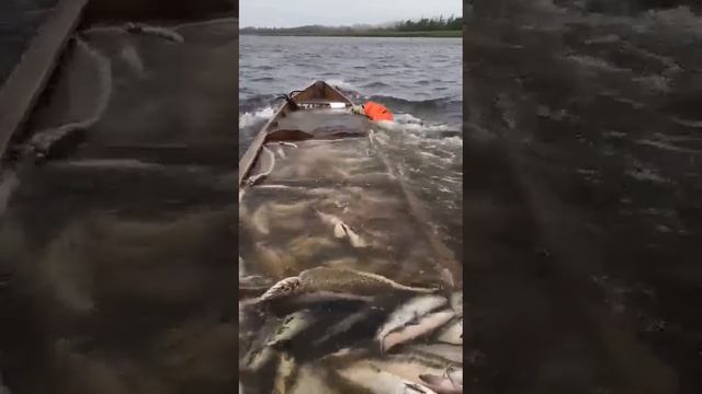 Из-за перегруза лодка начала тонуть вместе с рыбаками.