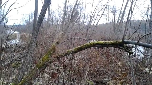 Святой источник Преподобного Антония Сийского
