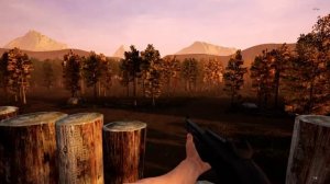 Оптимизация в игре Mist Survival