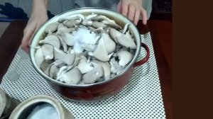 Маринованые грибы вешенки за сутки! Рецепт быстрого маринования грибов горячим способом!