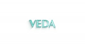 Горизонтальная заставка с логотипом VEDA (Logo reveal)
