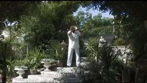 116 Сеанс перефокусировок при атрофии зрительного нерва Орис 2010   качество 272