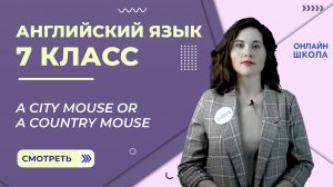 A city mouse or a country mouse. Урок 1. Английский язык 7 класс