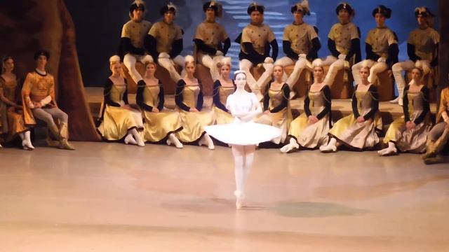 Раймонда в исполнении Марии Ильюшкиной-Мариинский театр