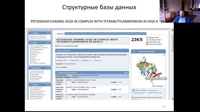Курс "Введение в биоинформатику": Лекция 3. Биологические базы данных.