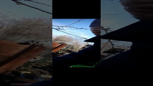 Как мы удобряем деревья на зиму смотреть онлайн