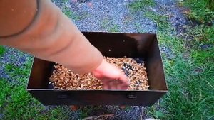 Как приготовить рульку. Копчёная рулька со специями | ПАПА В ДЕЛЕ