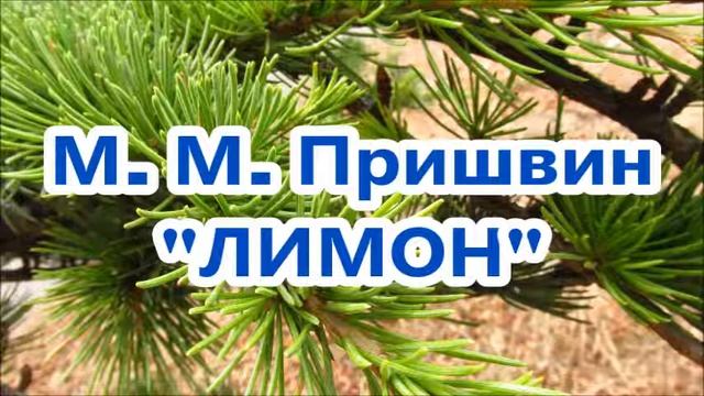 М. М. Пришвин "Лимон" смотреть онлайн