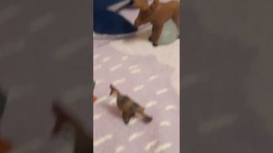 животные рек и озёр России