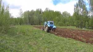 Пашем, сеем овес для привады медведя и кабана. Часть 1.