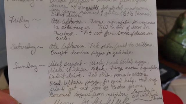 Saving Money Everyday & A Food Bank Menu for the Week - Part 7 - Overload of Green, Spring Decor