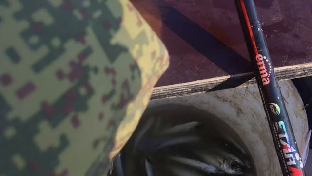 МОРСКАЯ РЫБАЛКА В АРХИПО-ОСИПОВКЕ/Ноябрь 2020 смотреть онлайн