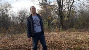 Листья жёлтые над городом кружатся