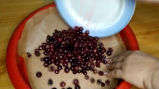 Заливной пирог со смородиной не устаю готовить.Вкусный десерт к чаю.