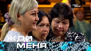 «Жди меня». Выпуск от 24 ноября 2023 года