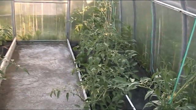 ДЕВОЧЕК В ЛАГЕРЬ, А САМ В ДЕРЕВНЮ!!! КУБОВИК РАССЫПАЛСЯ КАК СКОРЛУПА!!! смотреть онлайн