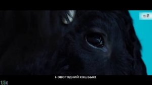 М.Видео — «КэшбЫк до 55%» в 8х быстрее | PRO Рекламу