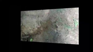 Спуск-лестница на берегу озера своими руками