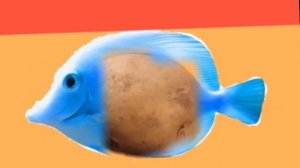 кошка макорошка рыбёшка кортошка улитка мандаринка панда лаванда