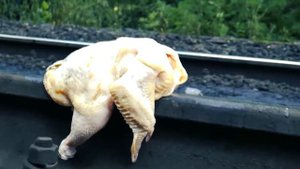 Что если ПЕРЕЕХАТЬ ПОЕЗДОМ разные вещи  SLOW MO 960 FPS