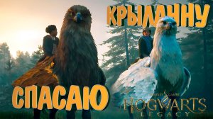 СПАСАЮ КРЫЛАННУ — Hogwarts Legacy #18