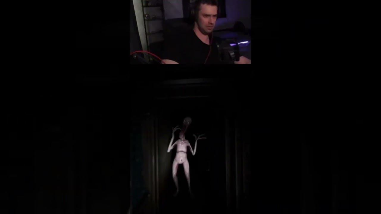 ИСПУГАЛСЯ? ОБОСРАЛСЯ #smartvol #летсплей #кот смотреть онлайн