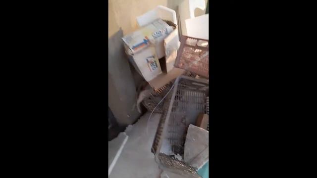 Как сделать лук за 6 секунд ? смотреть онлайн