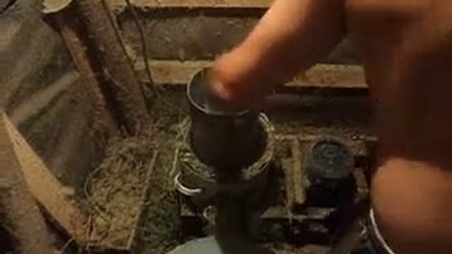 Травяная мука для кроликов дома смотреть онлайн