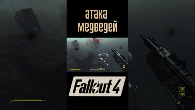 Атака медведей! |Fallout 4 #Shorts