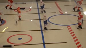 Настольный (ROD) хоккей «Bubble Hockey»