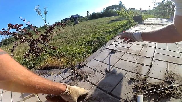 Как надолго убрать сорняки на плитке. Борьба с сорняками смотреть онлайн