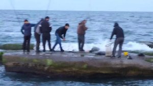 Кутум в Дербенте на косе .братва ловит