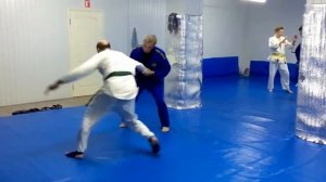 Real Aikido / фрагмент