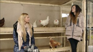 ДОМ-2 Город любви 3957 день Вечерний эфир (11.03.2015)