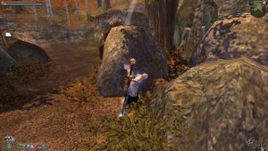 Fable TLC: Легкий способ открыть Демоническую Дверь Чащобных Пещер