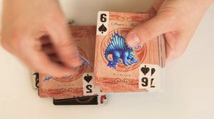 Bicycle cards Age of Dragons (Anne Stokes) - deck review