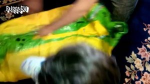 распаковка надувного крокодила .